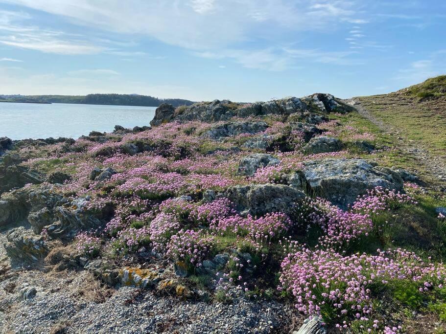 Entire Guest Suite In Four Mile Bridge, Rhoscolyn Valley Eksteriør bilde